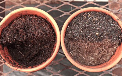 Dry soil and wet soil