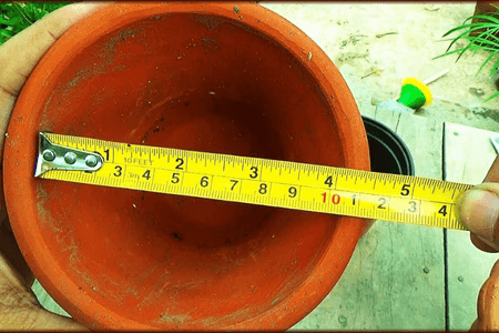 How to Measure Plant Pots Picture Ilustration