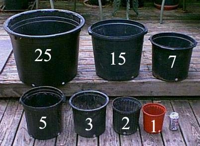 How to Measure Plant Pots Image
