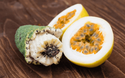 Monstera Deliciosa Fruit Benefits