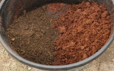 Can You Mix Coco Coir With Potting Soil?