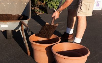 how much soil for 5 gallon pot